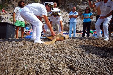 Caravane  /en/au Massa Lubrense (Napoli)ou appartement ou maison de vacances