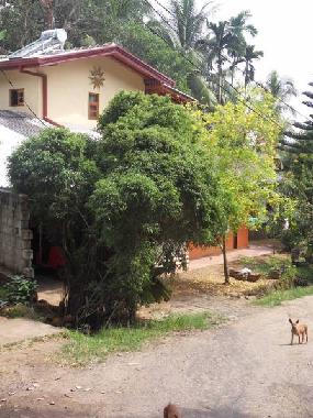 Maison de vacances /en/au Induruwa (Kalutara)ou appartement ou maison de vacances