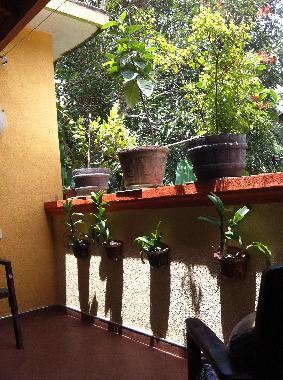 Maison de vacances /en/au Induruwa (Kalutara)ou appartement ou maison de vacances