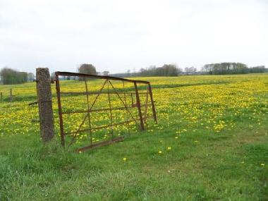 Caravane  /en/au Vledder (Drenthe)ou appartement ou maison de vacances