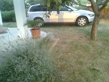 Appartement de vacances /en/au Lopar (Primorsko-Goranska)ou appartement ou maison de vacances