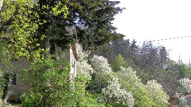 Maison de vacances /en/au Bagni di Lucca (Lucca)ou appartement ou maison de vacances