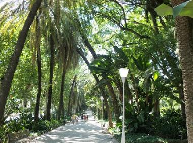 Appartement de vacances /en/au MALAGA (Mlaga)ou appartement ou maison de vacances