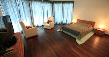 Villa /en/au Blato (Dubrovacko-Neretvanska)ou appartement ou maison de vacances