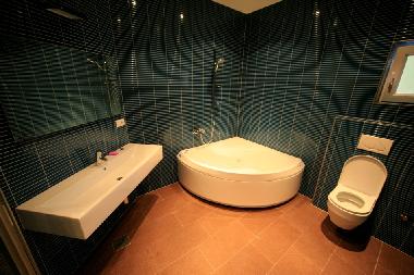 Villa /en/au Blato (Dubrovacko-Neretvanska)ou appartement ou maison de vacances