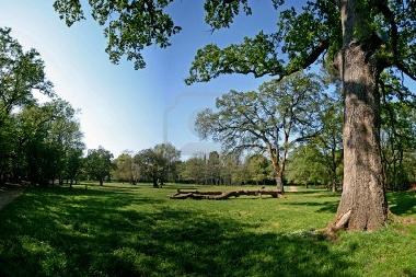 Appartement de vacances �/en/au PULA (Istarska)ou appartement ou maison de vacances