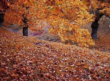 Chalet �/en/au Tagliacozzo (L