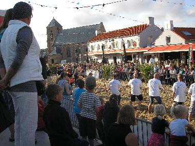 Maison de vacances /en/au Zoutelande (Zeeland)ou appartement ou maison de vacances