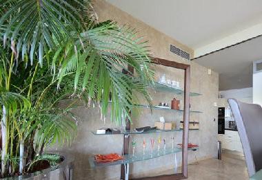 Chambre avec petit d�jeuner �/en/au Vallauris (Alpes-Maritimes)ou appartement ou maison de vacances