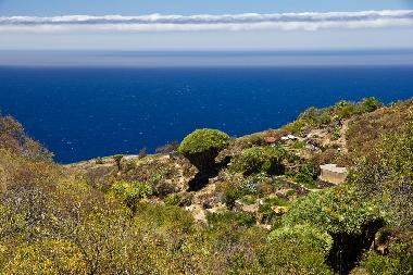 Villa �/en/au Tijarafe (La Palma und El Hierro)ou appartement ou maison de vacances