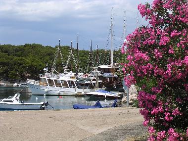 Appartement de vacances �/en/au Mandre (Zadarska)ou appartement ou maison de vacances