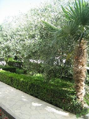 Appartement de vacances /en/au Omi (Splitsko-Dalmatinska)ou appartement ou maison de vacances