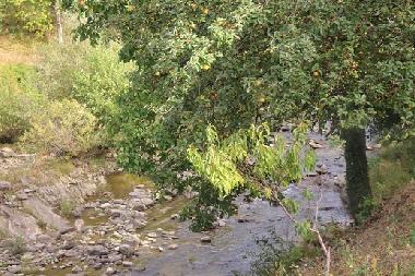 Maison de vacances �/en/au Kryvenik (Gabrovo)ou appartement ou maison de vacances