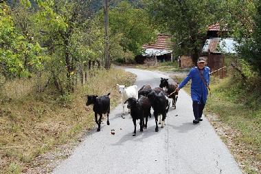 Maison de vacances �/en/au Kryvenik (Gabrovo)ou appartement ou maison de vacances