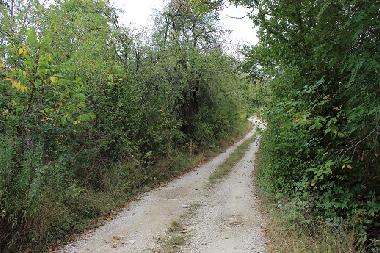 Maison de vacances �/en/au Kryvenik (Gabrovo)ou appartement ou maison de vacances