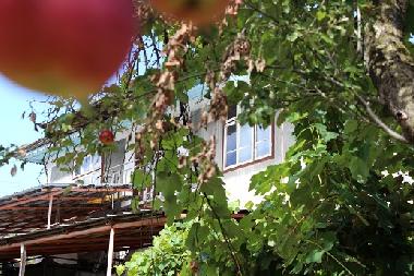 Maison de vacances �/en/au Kryvenik (Gabrovo)ou appartement ou maison de vacances