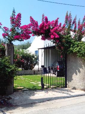 Maison de vacances /en/au Psaras (Kerkyra)ou appartement ou maison de vacances