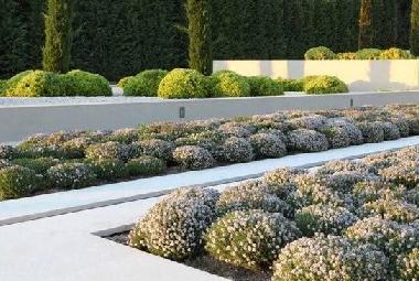 Maison de vacances �/en/au Antibes (Alpes-Maritimes)ou appartement ou maison de vacances