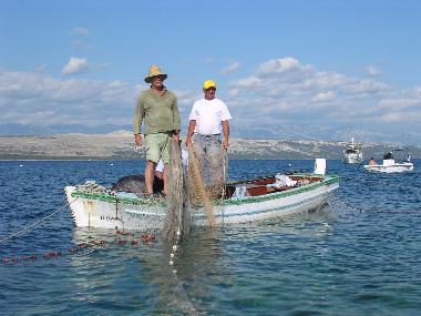 Appartement de vacances �/en/au Mandre (Zadarska)ou appartement ou maison de vacances