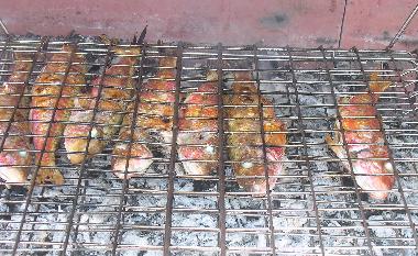 Appartement de vacances �/en/au Mandre (Zadarska)ou appartement ou maison de vacances