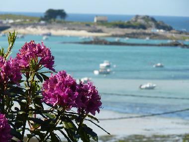 Villa /en/au plouguerneau (Finistre)ou appartement ou maison de vacances