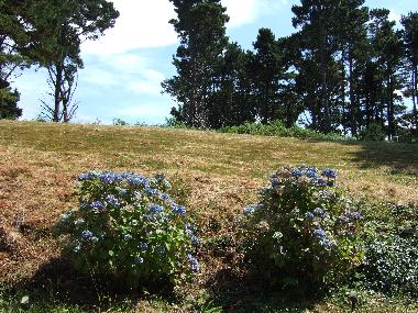 Villa /en/au plouguerneau (Finistre)ou appartement ou maison de vacances