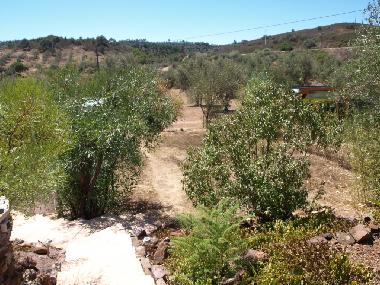 Appartement de vacances /en/au Sao Bartholomeu de Messines (Algarve)ou appartement ou maison de vacances