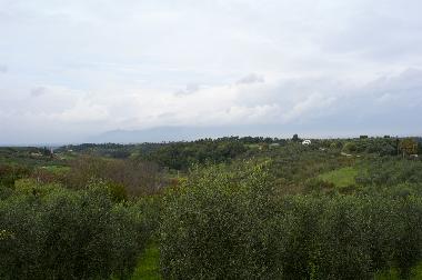 Maison de vacances �/en/au Lari (Pisa)ou appartement ou maison de vacances