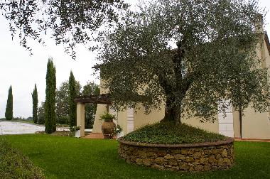 Maison de vacances �/en/au Lari (Pisa)ou appartement ou maison de vacances