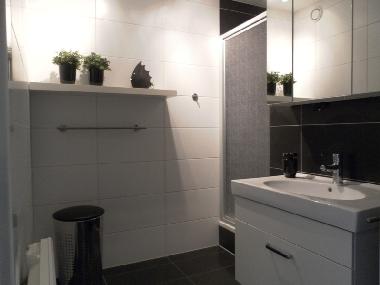 Appartement de vacances /en/au Buren (Friesland)ou appartement ou maison de vacances
