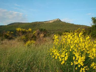 Maison de vacances �/en/au La Tour sur Orb/La Plane (H�rault)ou appartement ou maison de vacances
