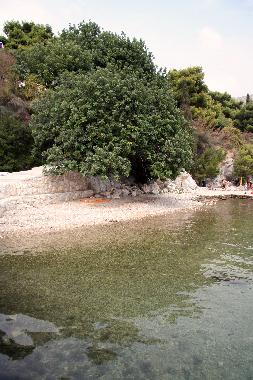 Chambre avec petit djeuner /en/au dubrovnik-zaton (Dubrovacko-Neretvanska)ou appartement ou maison de vacances