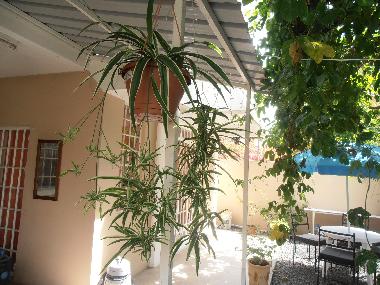 Maison de vacances /en/au Pereybere (Pereybere)ou appartement ou maison de vacances