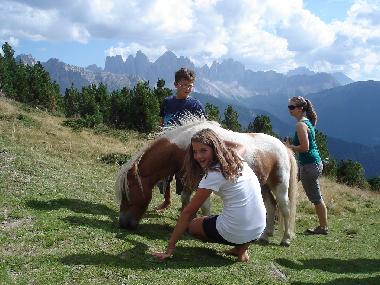 Maison de vacances �/en/au Natz (Bolzano-Bozen)ou appartement ou maison de vacances