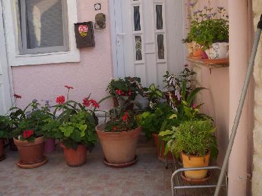 Appartement de vacances /en/au Grebastica (Sibensko-Kninska)ou appartement ou maison de vacances