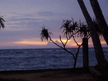 Villa /en/au Moragalla (Kalutara)ou appartement ou maison de vacances