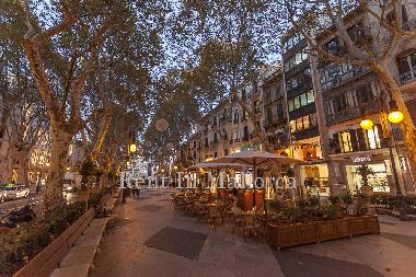 Appartement de vacances �/en/au Palma de Mallorca (Mallorca)ou appartement ou maison de vacances