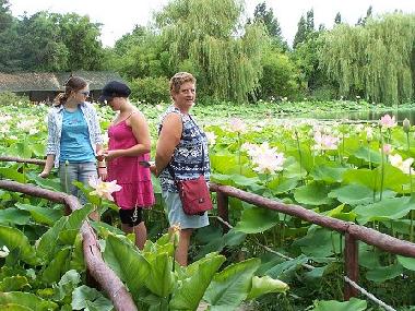 Maison de vacances �/en/au Chateau Guibert (Vend�e)ou appartement ou maison de vacances