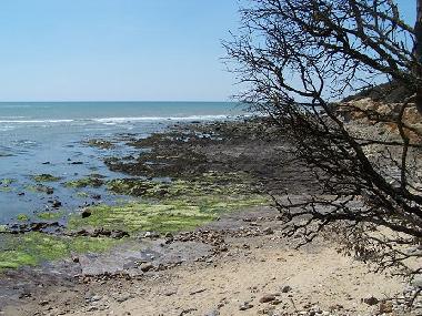 Maison de vacances �/en/au Chateau Guibert (Vend�e)ou appartement ou maison de vacances