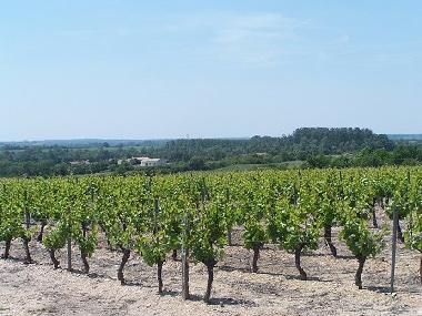 Maison de vacances �/en/au Chateau Guibert (Vend�e)ou appartement ou maison de vacances