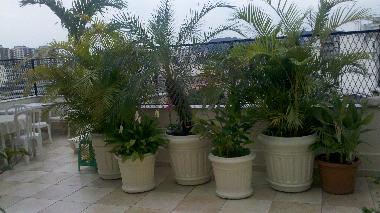 Appartement de vacances �/en/au Rio de Janeiro (Rio de Janeiro)ou appartement ou maison de vacances