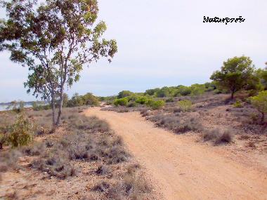 Appartement de vacances /en/au Guardamar del Segura (Alicante / Alacant)ou appartement ou maison de vacances