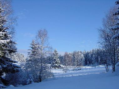 Appartement de vacances /en/au Sandl (Mhlviertel)ou appartement ou maison de vacances