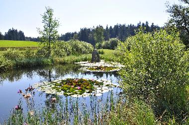 Appartement de vacances /en/au Sandl (Mhlviertel)ou appartement ou maison de vacances