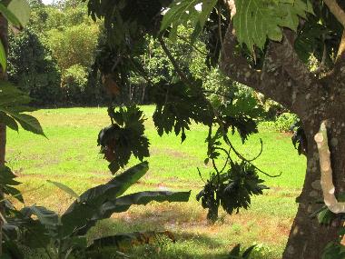 Appartement de vacances �/en/au hikkaduwa (Galle)ou appartement ou maison de vacances