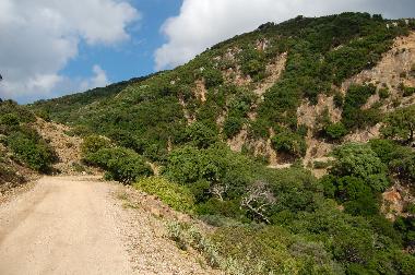 Chalet /en/au Tarifa (Cdiz)ou appartement ou maison de vacances