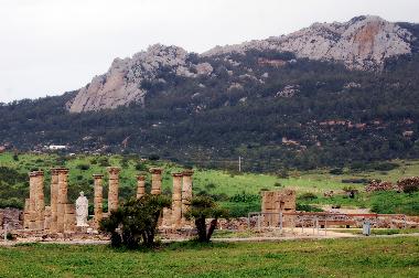 Chalet /en/au Tarifa (Cdiz)ou appartement ou maison de vacances