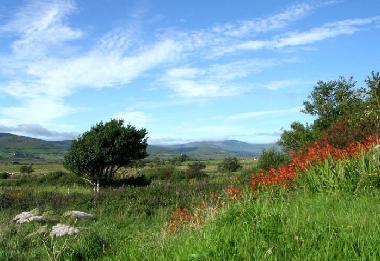 Maison de vacances �/en/au Waterville (Kerry)ou appartement ou maison de vacances