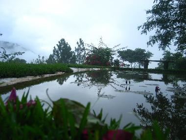 Chambre avec petit djeuner /en/au Kandy (Kandy)ou appartement ou maison de vacances