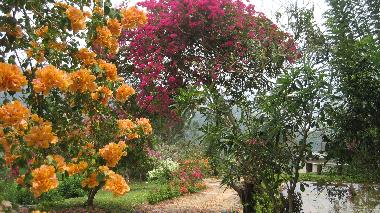 Chambre avec petit djeuner /en/au Kandy (Kandy)ou appartement ou maison de vacances